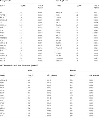 Transcriptomic analysis of the human placenta reveals trophoblast dysfunction and augmented Wnt signalling associated with spontaneous preterm birth